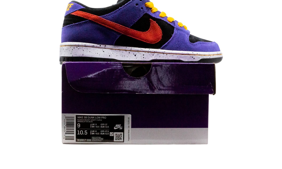 SB Dunk Low "ACG Terra" BQ6817 008